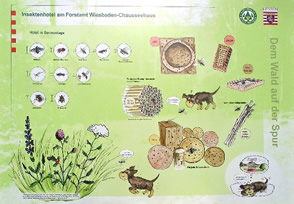 Tafel Waldwissenspfad Chausseehaus